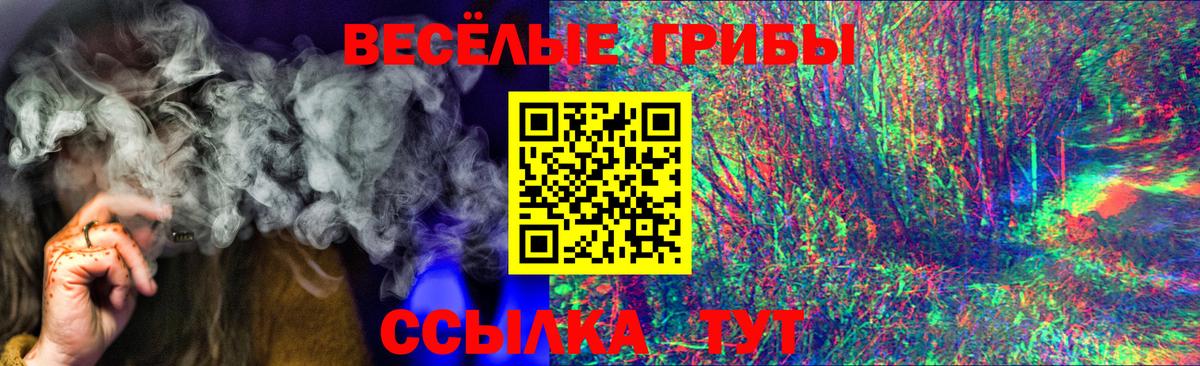 Галлюциногенные грибы Psilocybine cubensis Ефремов