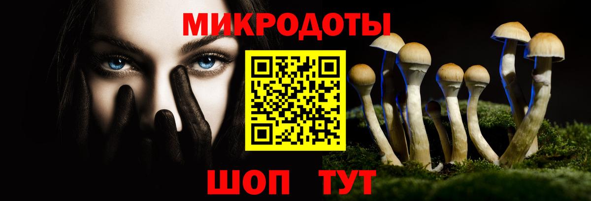 Ефремов  Галлюциногенные грибы Magic Shrooms  Вход с VPN  Галлюциногенные грибы Psilocybine cubensis 
